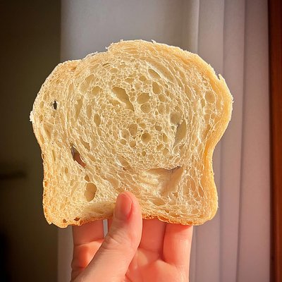 Sourdough Sandwich Bread