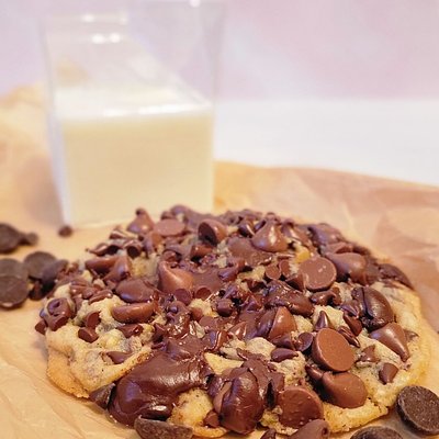  Cat's Chocolate Chip
