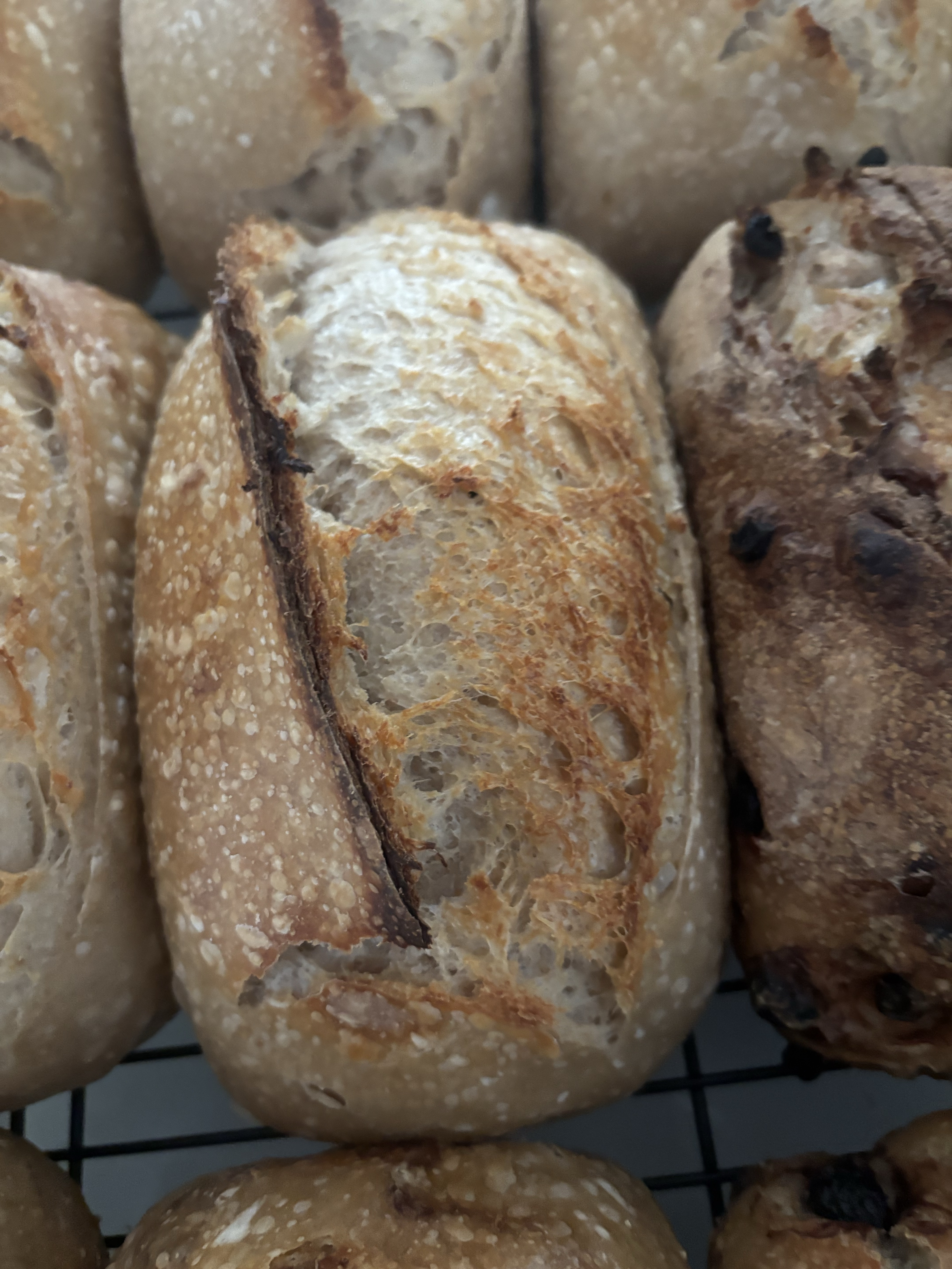 Organic Sourdough White Bread