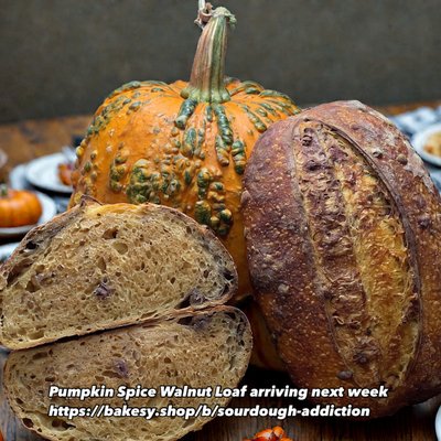 Pumpkin Spice Walnut 