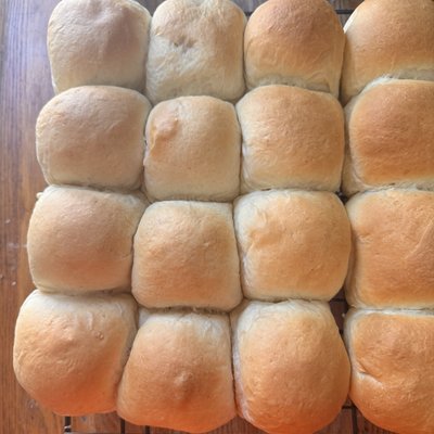Sourdough Rolls 