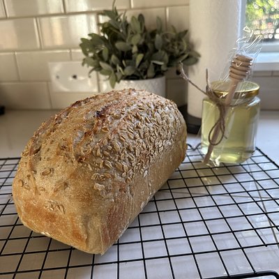 Honey Oat Sandwich Loaf 