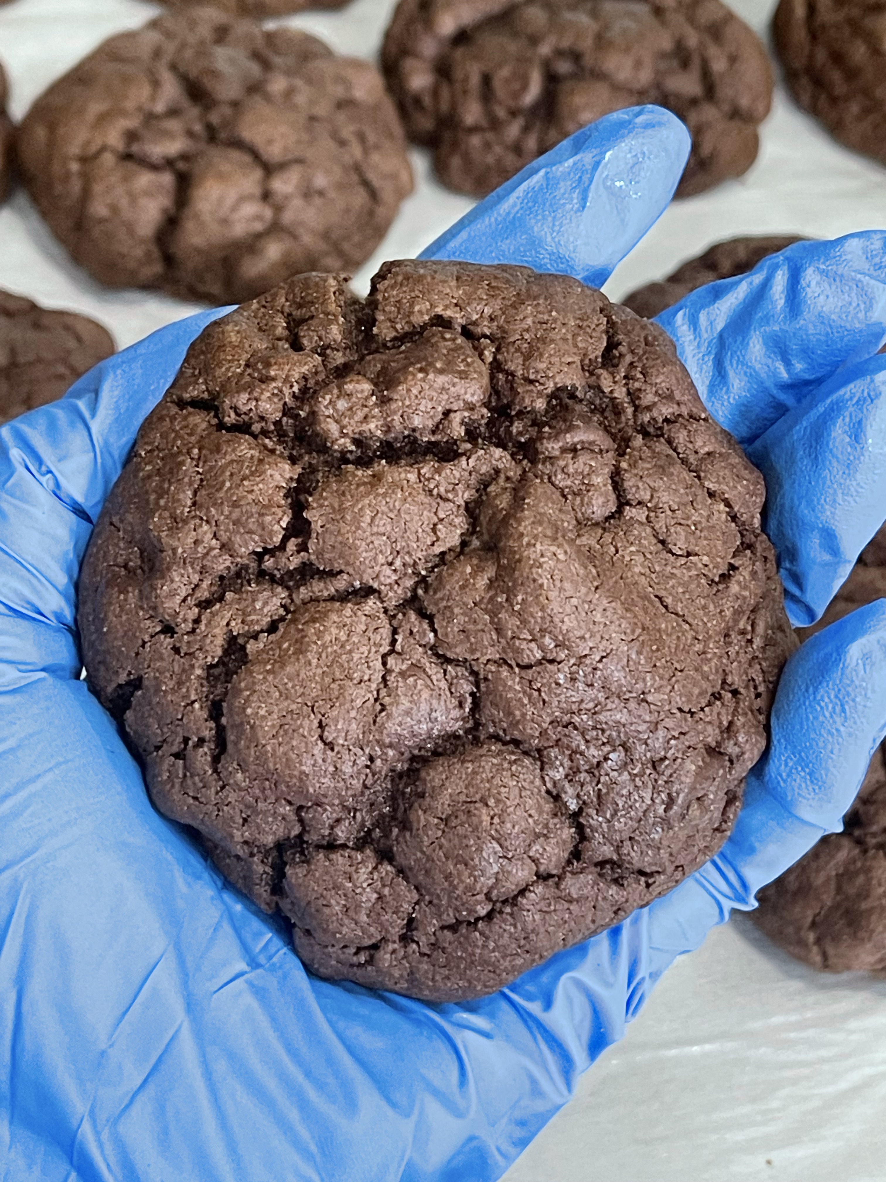 Double Chocolate Cookies (1/2 Dozen)