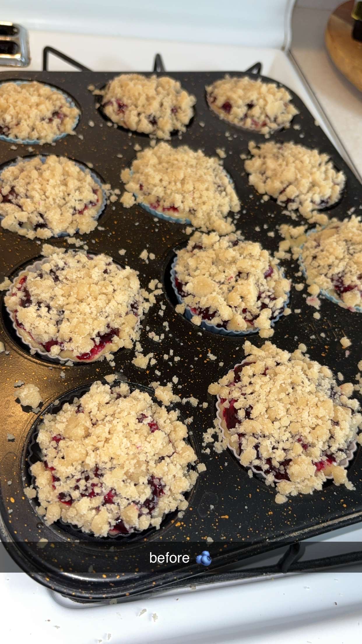 Double Blueberry Crunch Muffins 