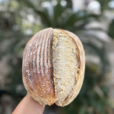 Sourdough 
