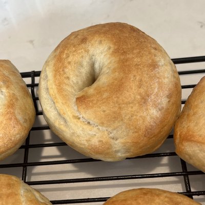 Plain NY Style Sourdough Bagel