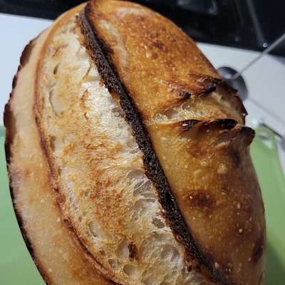 Basic Sourdough Bread