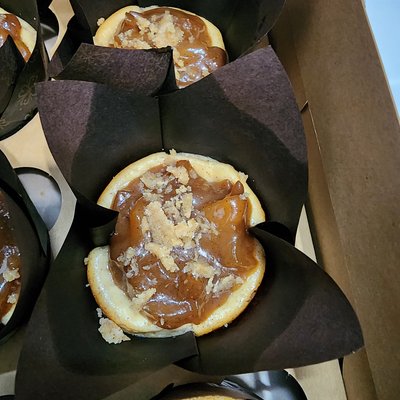 Apple Crumb Cheesecake 