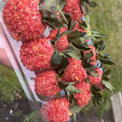 1 Dozen strawberry Crunch Strawberries 