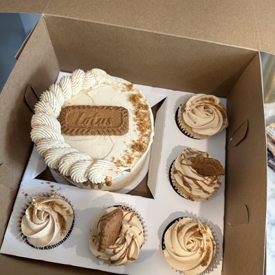 Bento Cake Box 