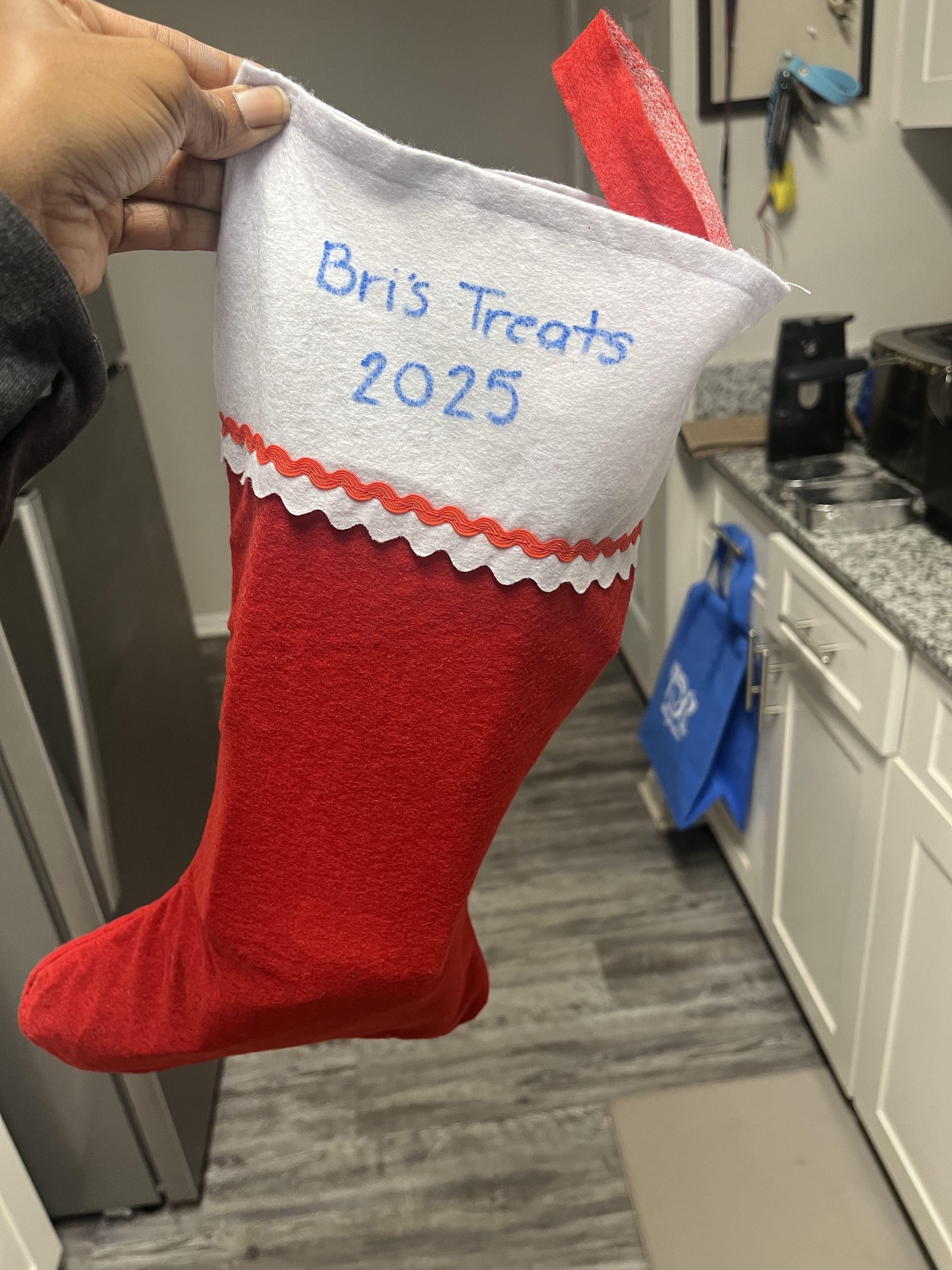 Treat Stocking 🎄🎅