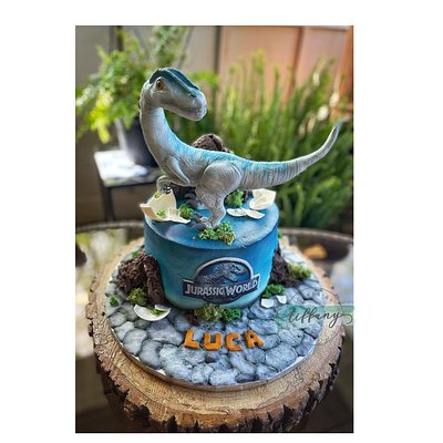 Sculpted - Fondant Cakes