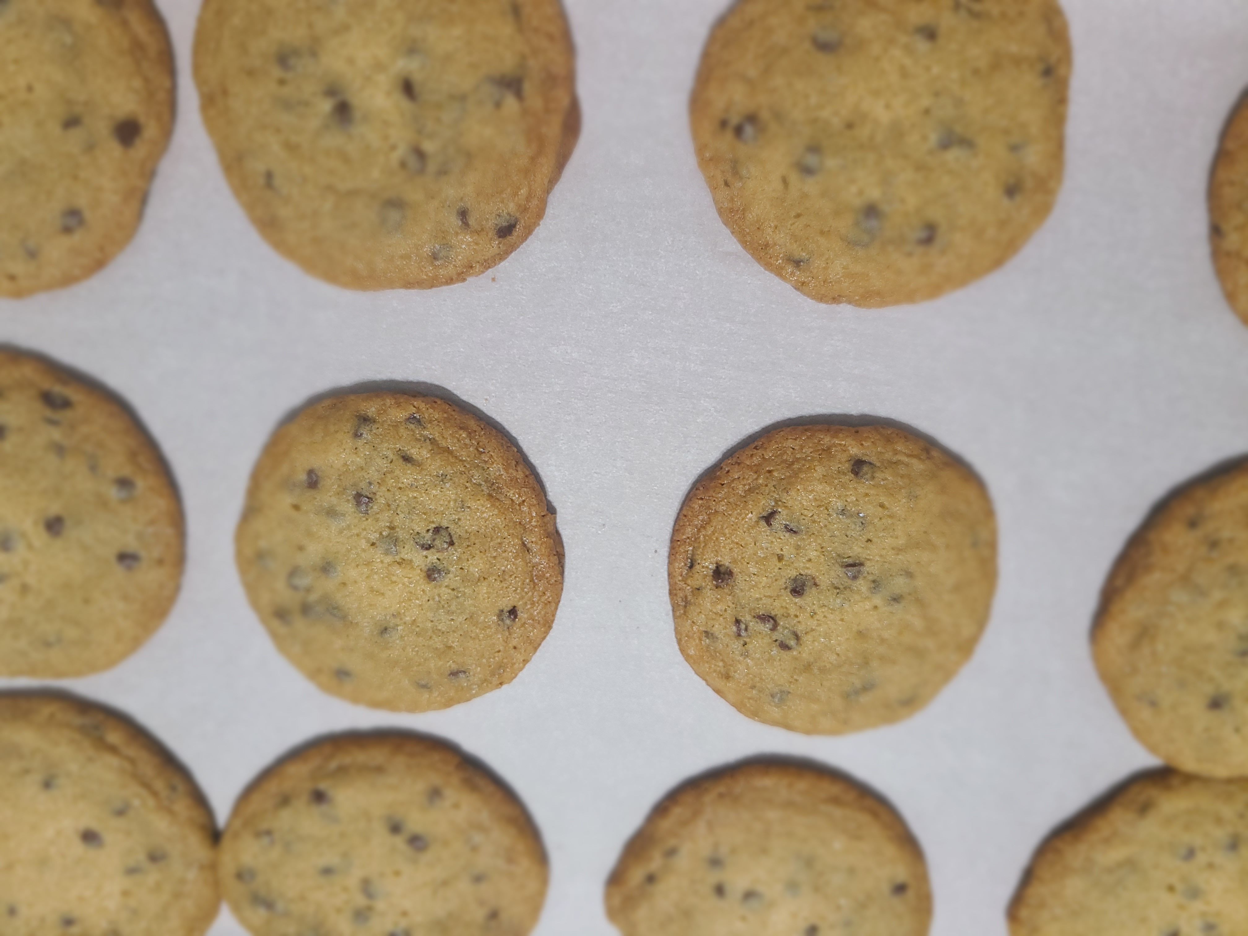 Chocolate Chip Cookies (Dozen)(12)