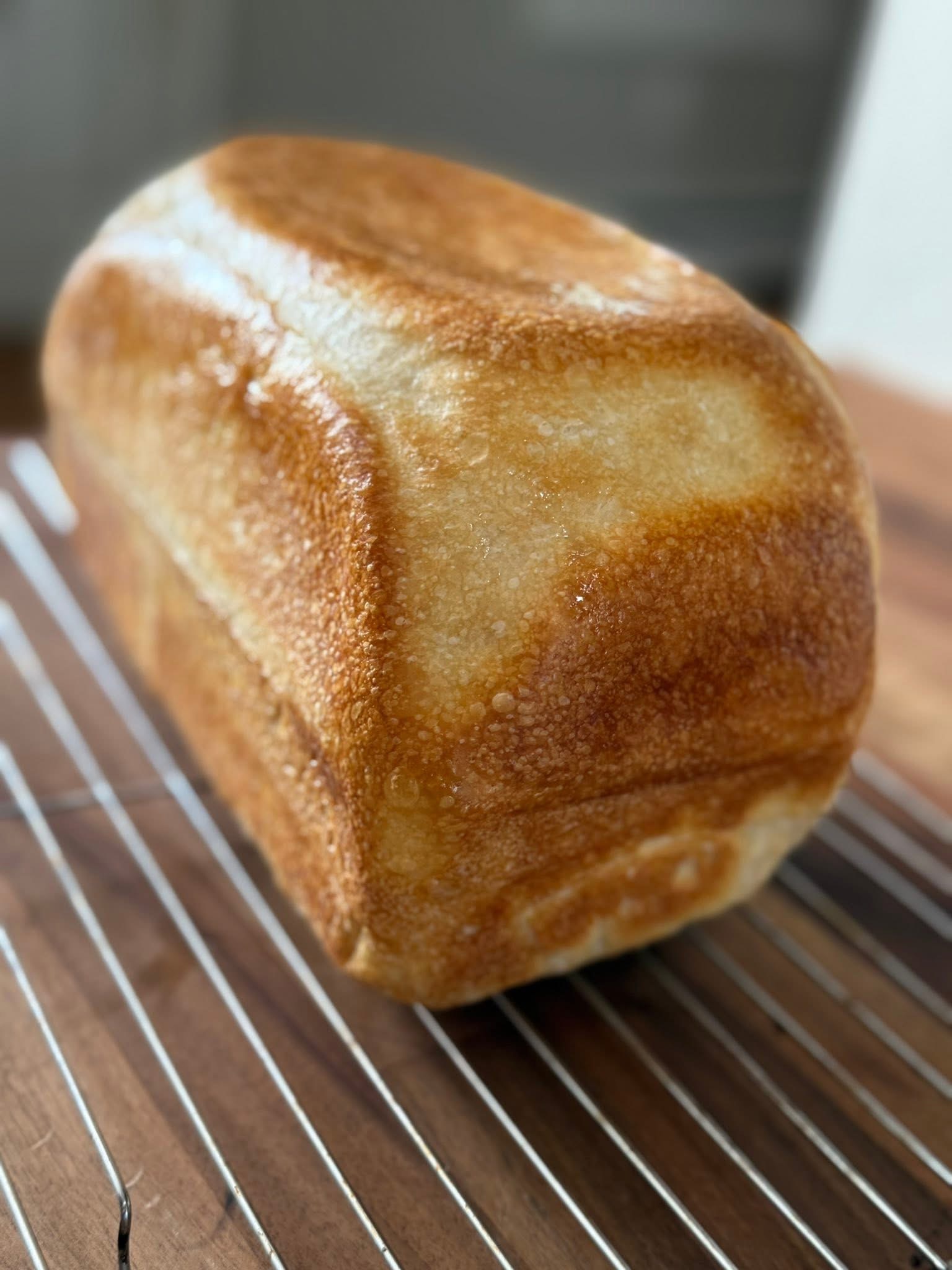 Sandwich Bread