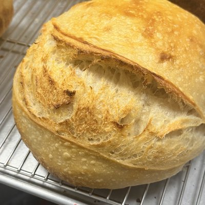 Plain sourdough loaf