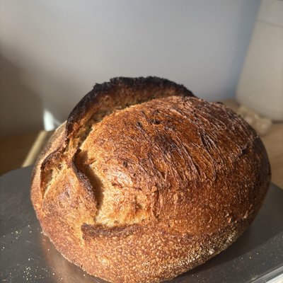 Country Loaf & Ciabatta Bundle