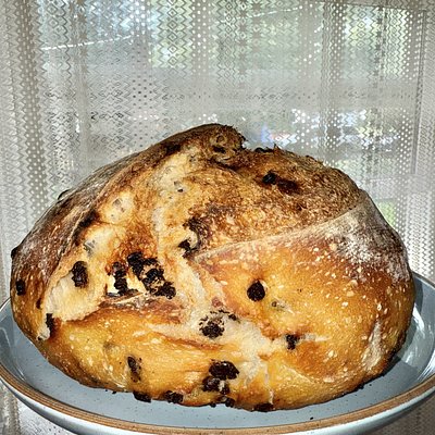 Chocolate Comet ☄️ 