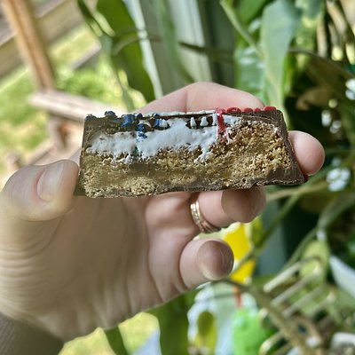 S’mores Dipped Cookie Bars