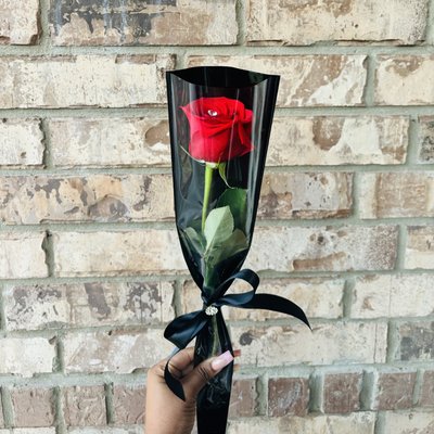 Single Red Rose 🌹 