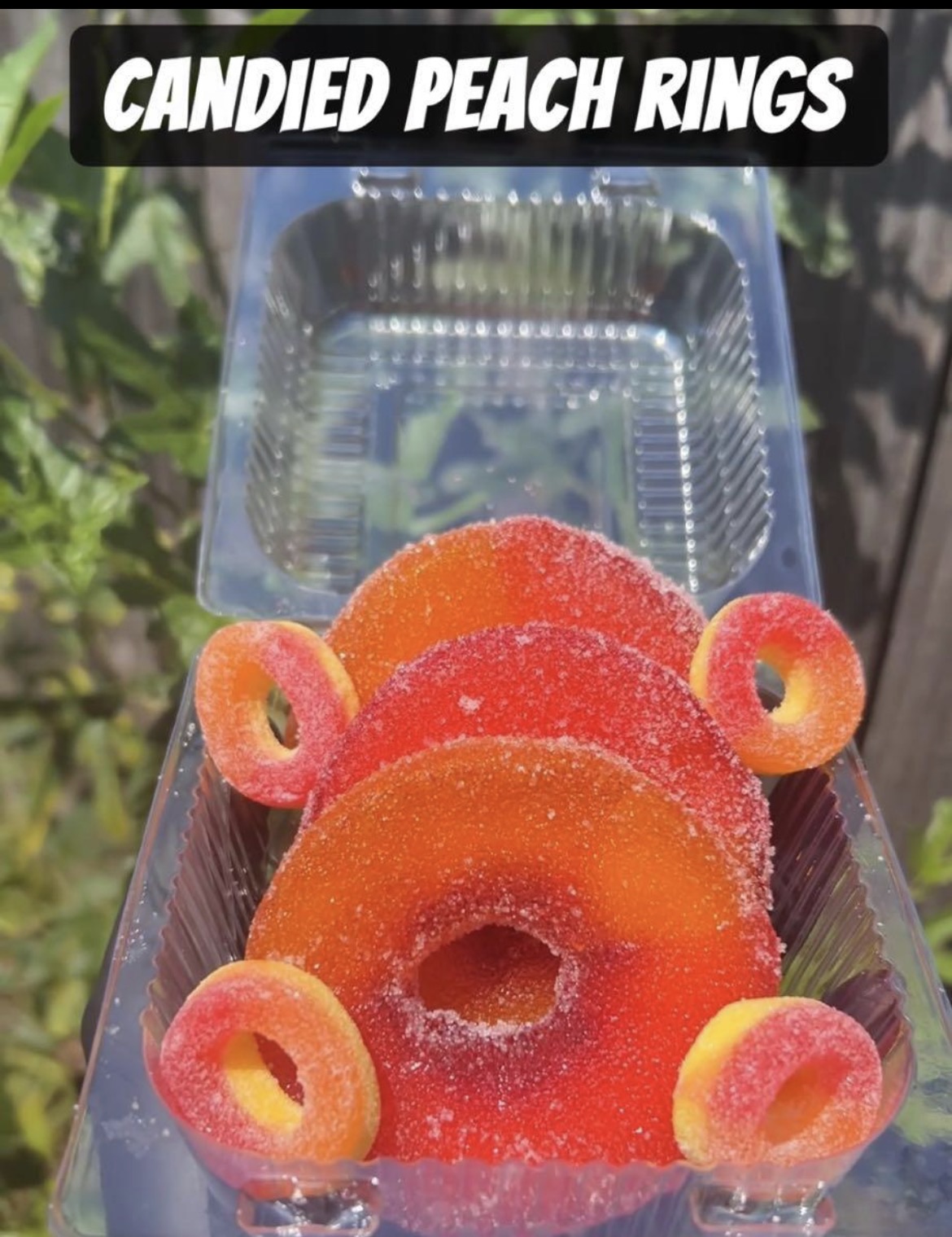 Candied Peach Rings 