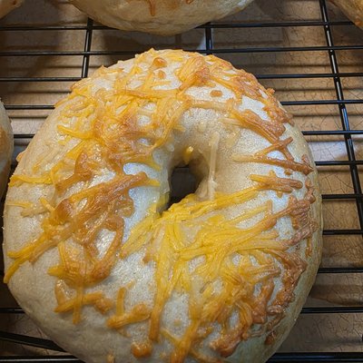 Three Cheese Sourdough Bagels  (4ct)