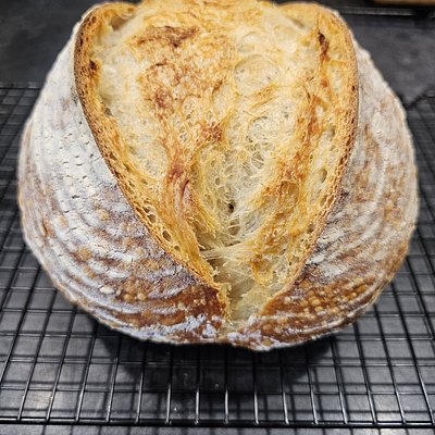 Classic Sourdough Loaf