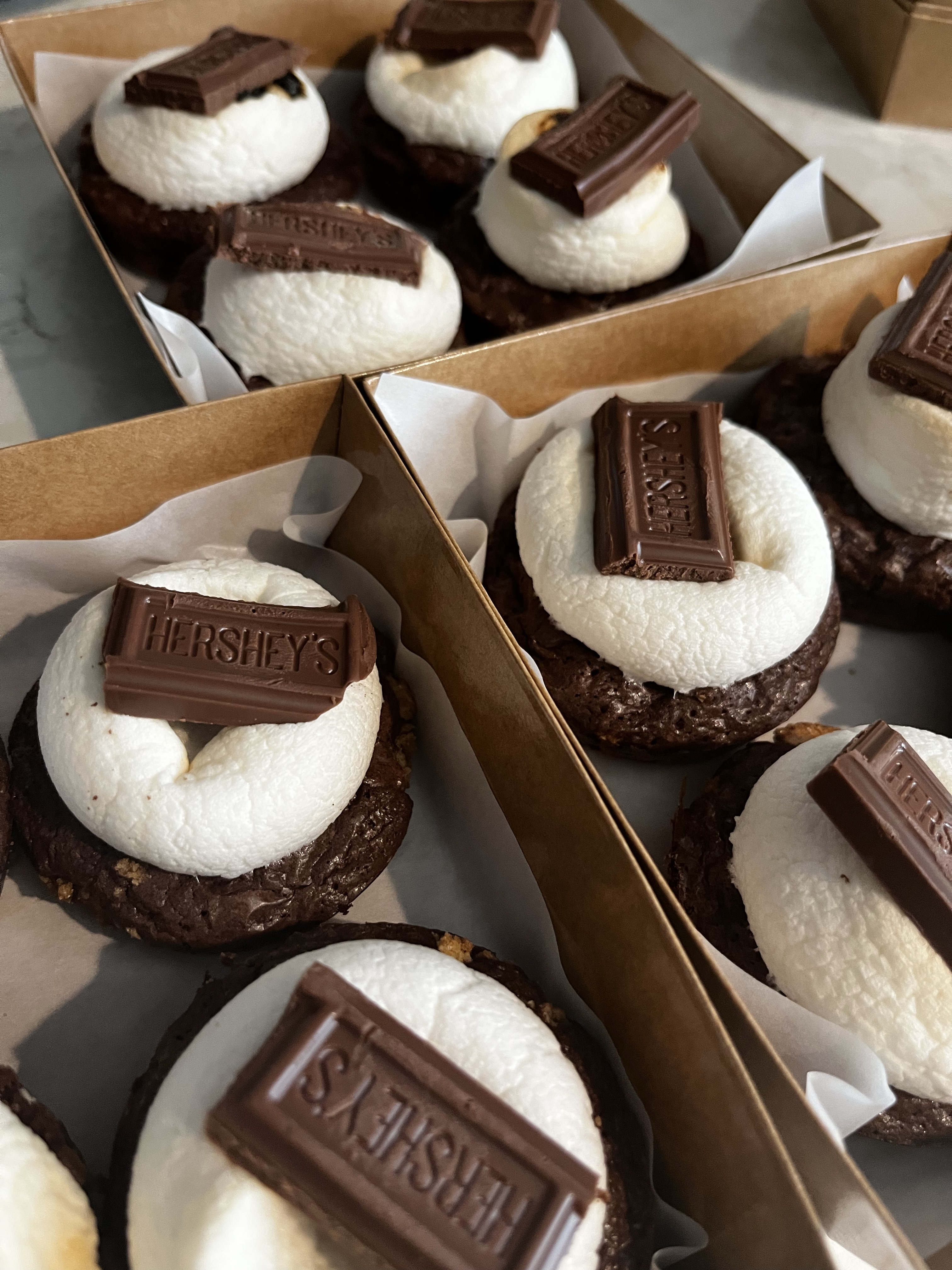 SMORES BROWNIES