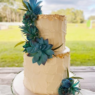 2 Tier Textured Wedding Cake With Succulents 