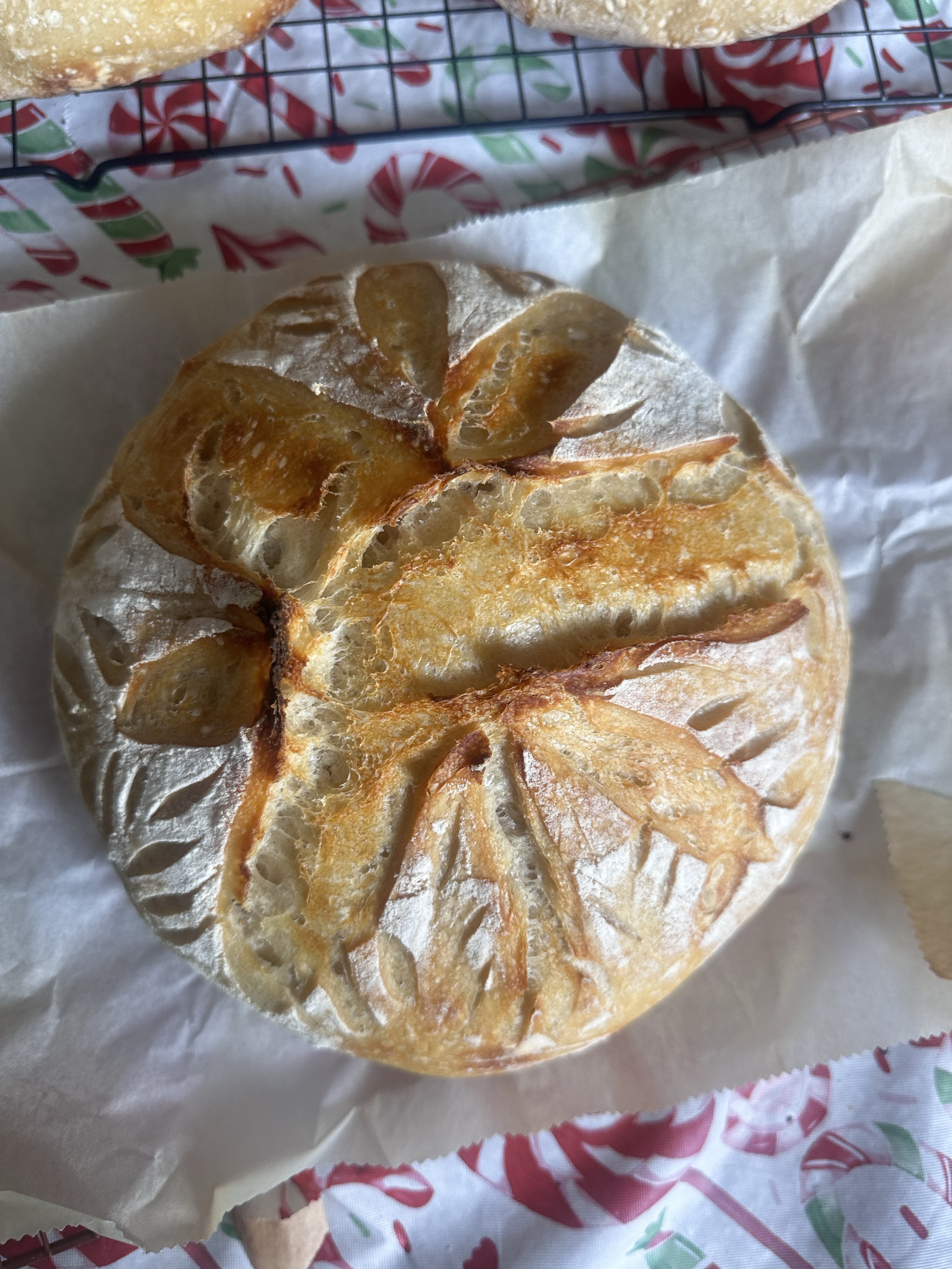 Sourdough Artisan Loaf (Plain)