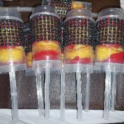 Cupcake Push Pops Dz 