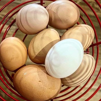 Farm Fresh Eggs