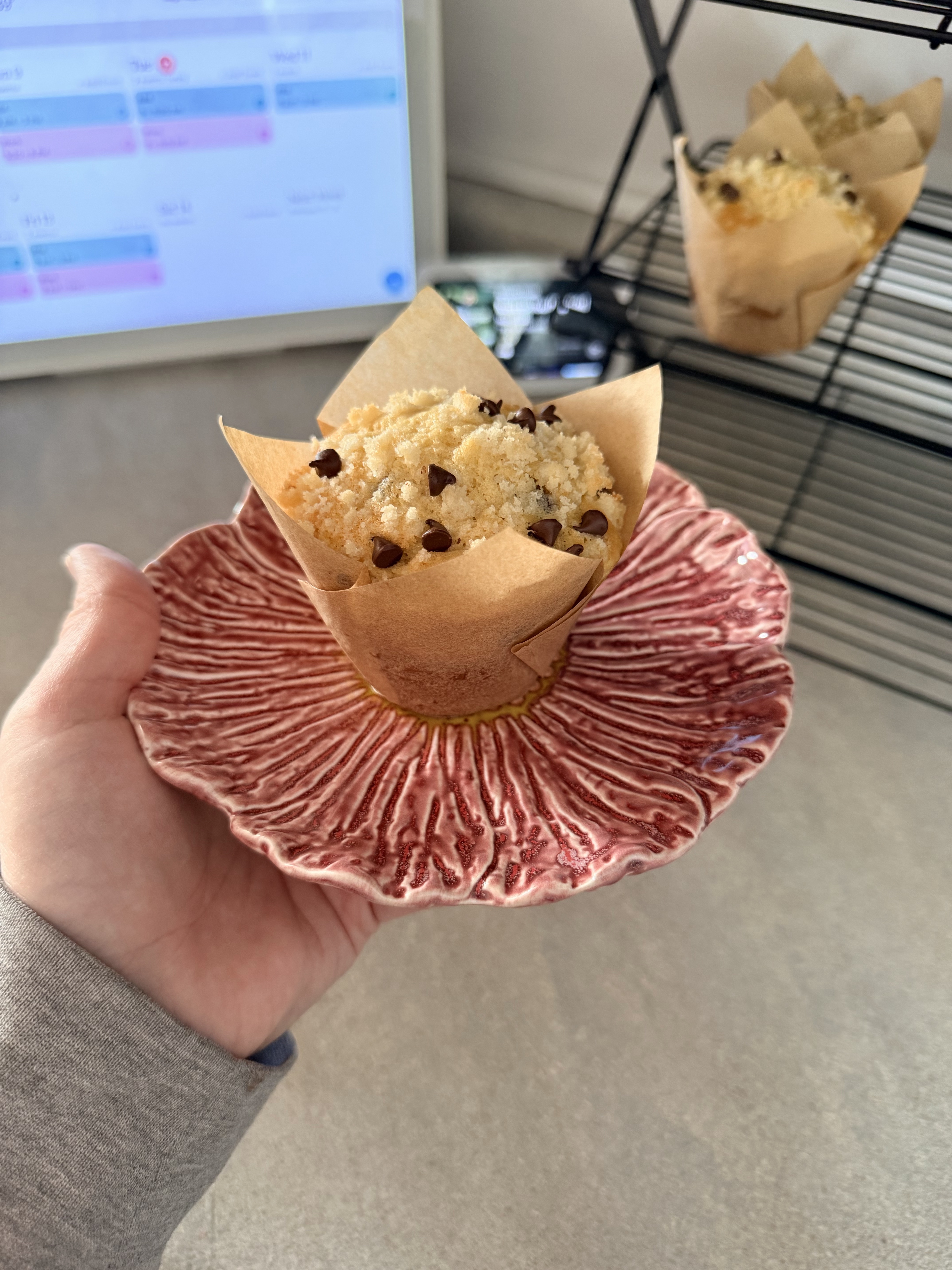 Chocolate Chip Sourdough Muffins 6ct