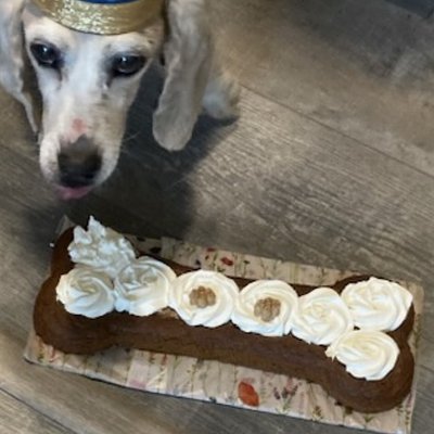 Pawty Bone Birthday Cake 