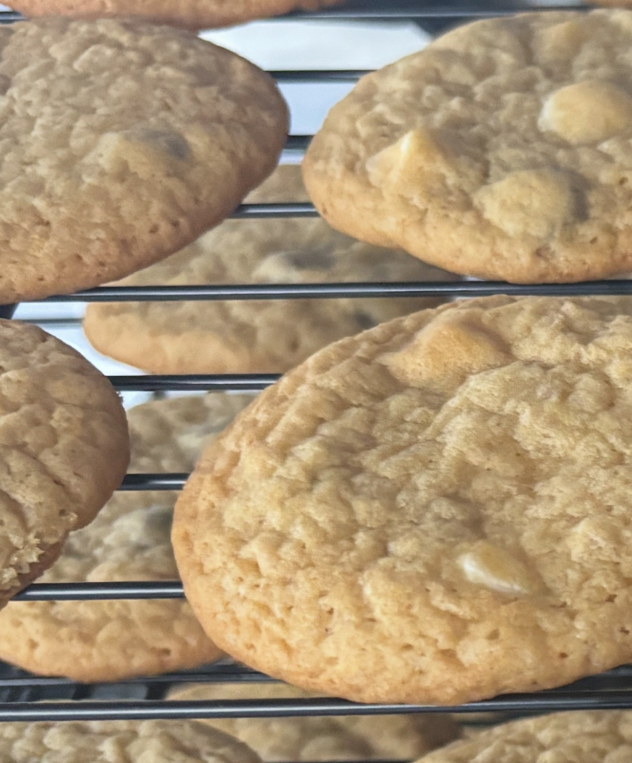 A Box Of A Dozen Giant (4in) Cookies - White Chocolate Chip 