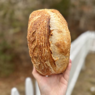 Rustic Original Sourdough Loaf