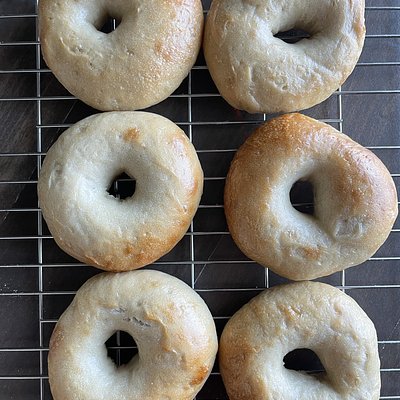 6 Organic Classic Sourdough Bagels 