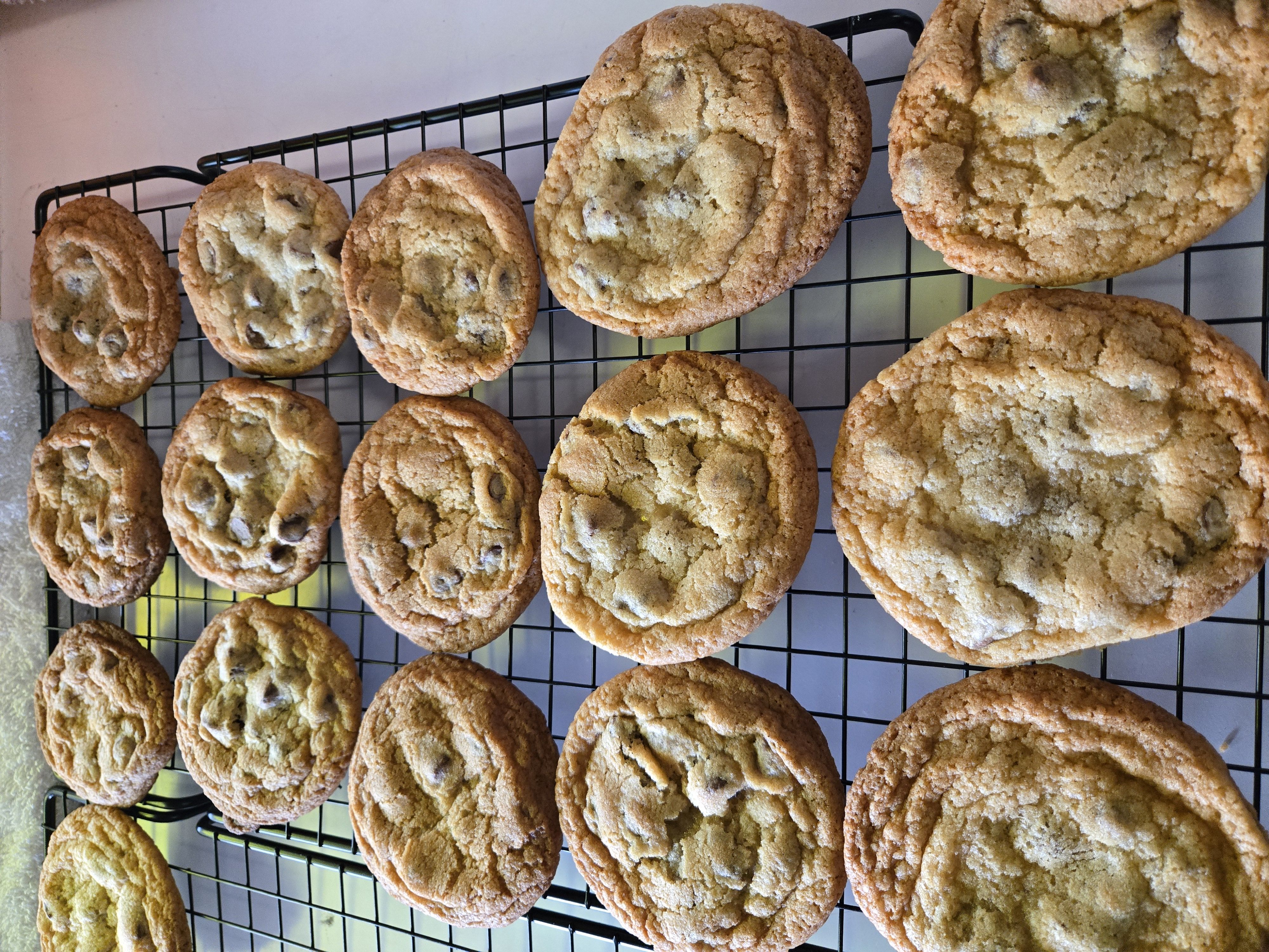 Chocolate Chip Cookies
