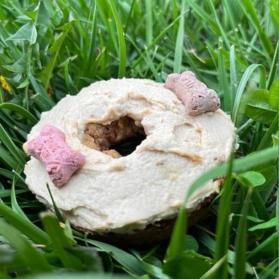 Dozen Peanut Butter Doggie Doughnuts