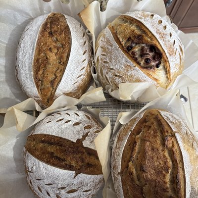 Organic Sourdough Loaf - Flavor Of The Week - Varies