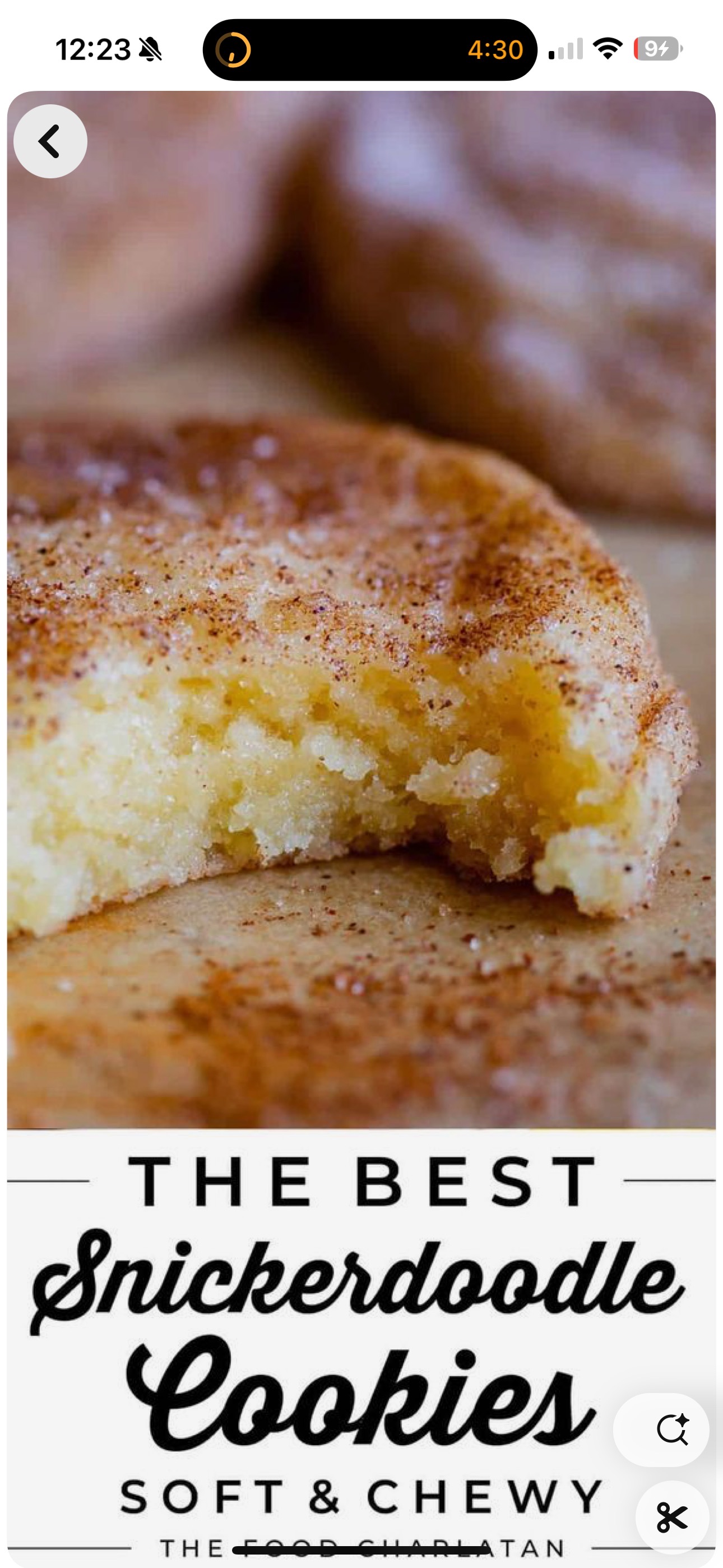 Snickerdoodle - Half Dozen 