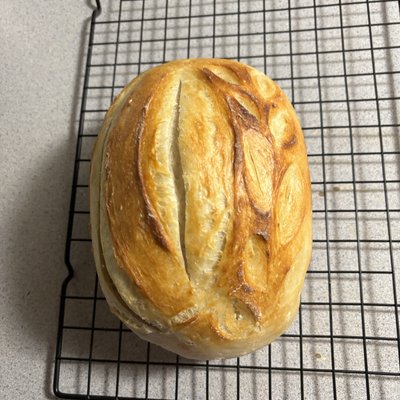 Sour Dough Loaf