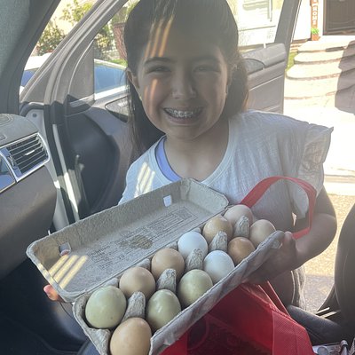 One Dozen Farm Fresh Eggs!