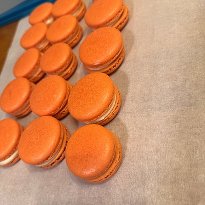 Orange Creamsicle