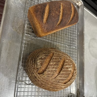 Gluten-free Sourdough 