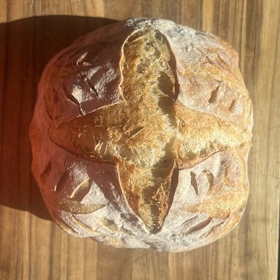 Classic Sourdough 