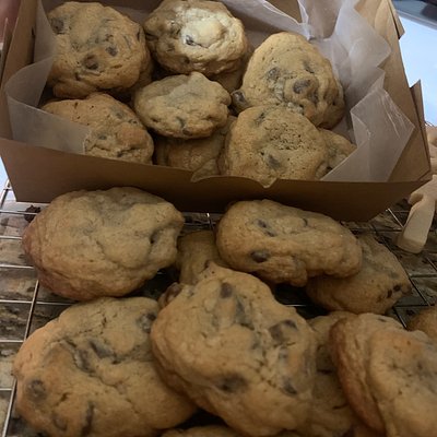 Chocolate Chip