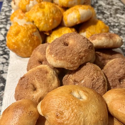 Plain Bagels