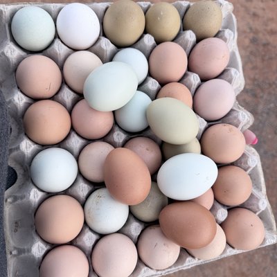 Farm Fresh Eggs