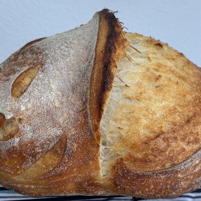 Plain Artisan Sourdough