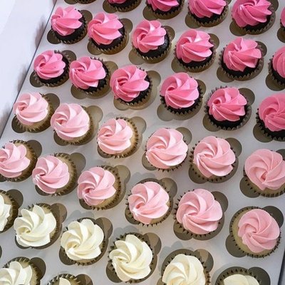 1 Dozen Mini Cupcakes 